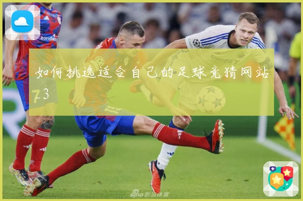 如何挑选适合自己的足球竞猜网站_3