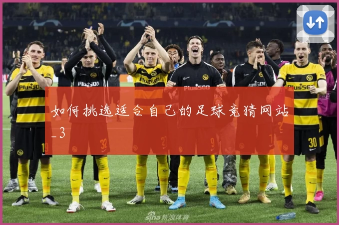 如何挑选适合自己的足球竞猜网站_3