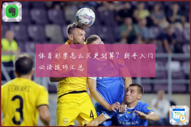 体育彩票怎么买更划算？新手入门必读技巧汇总