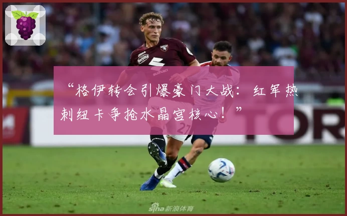 “格伊转会引爆豪门大战：红军热刺纽卡争抢水晶宫核心！”