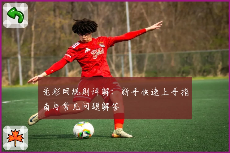 竞彩网规则详解：新手快速上手指南与常见问题解答
